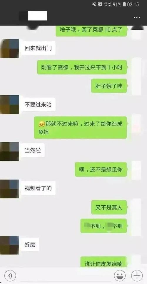 免费吃瓜聊天记录合集,揭秘网络社交背后的趣味与真相