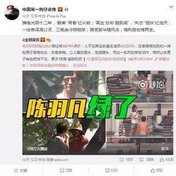 安心被爆料出轨视频,真相与争议