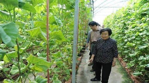 临河吃瓜最新事件爆料是真的吗,最新爆料真相揭秘 第2张 临河吃瓜最新事件爆料是真的吗,最新爆料真相揭秘 第2张