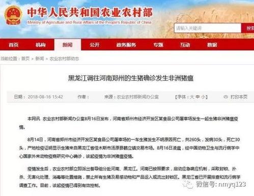 八村最新爆料新闻事件是真的吗,事件真实性引发热议，真相究竟如何？”
