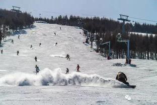 滑雪场死人爆料案件最新,揭秘“死人爆料”案件背后的真相与疑云