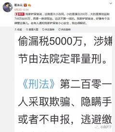 崔永元爆料偷税视频,揭秘娱乐圈潜规则与税务黑洞