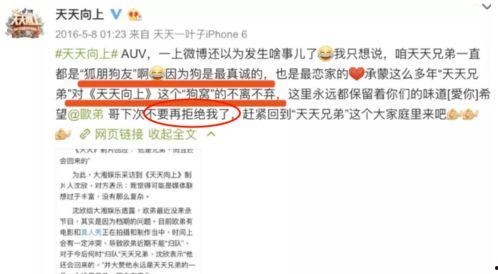 娱乐圈爆料经常怎么说,揭秘明星幕后故事