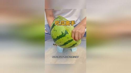 这才是吃瓜高手免费阅读,这才是吃瓜高手的免费阅读之旅