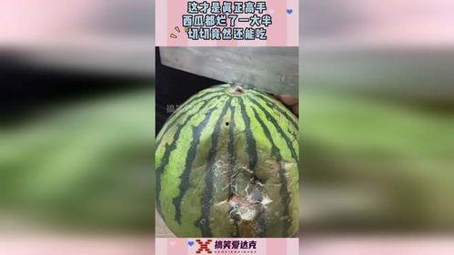 这才是吃瓜高手免费阅读,这才是吃瓜高手的免费阅读之旅 第2张 这才是吃瓜高手免费阅读,这才是吃瓜高手的免费阅读之旅 第2张