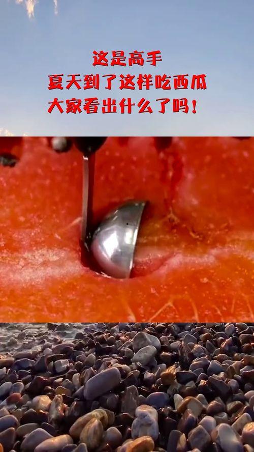这才是吃瓜高手免费阅读,这才是吃瓜高手的免费阅读之旅 第3张 这才是吃瓜高手免费阅读,这才是吃瓜高手的免费阅读之旅 第3张