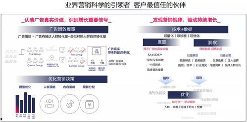 利刃四新配色爆料视频,炫酷视觉盛宴，科技与时尚的完美融合