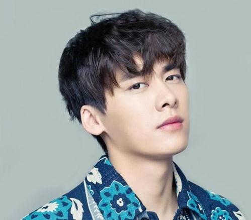 娱乐圈吃瓜李易峰是谁啊,揭秘李易峰的星光之路 第3张 娱乐圈吃瓜李易峰是谁啊,揭秘李易峰的星光之路 第3张