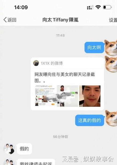 爆料湘乡网红视频播放网站,热门内容一网打尽 第2张 爆料湘乡网红视频播放网站,热门内容一网打尽 第2张