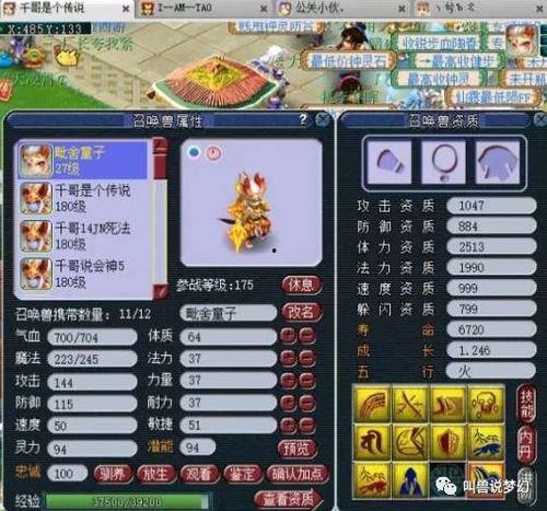 须弥活动爆料攻略视频
