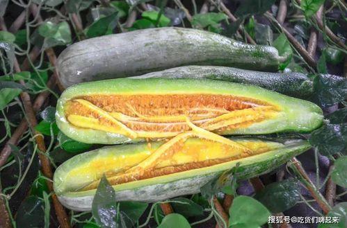 兴化网红吃瓜事件,一场网络狂欢背后的真相揭秘
