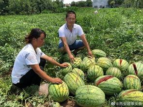 兴化网红吃瓜事件,一场网络狂欢背后的真相揭秘 第2张 兴化网红吃瓜事件,一场网络狂欢背后的真相揭秘 第2张