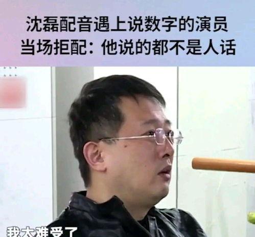 娱乐爆料配音员,揭秘配音员背后的精彩故事 第2张 娱乐爆料配音员,揭秘配音员背后的精彩故事 第2张