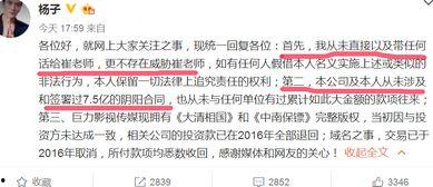 崔永元最新爆料公安局