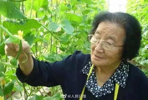 网红吃瓜王大炮是谁啊,他是谁?如何成为网络红人? 第3张 网红吃瓜王大炮是谁啊,他是谁?如何成为网络红人? 第3张