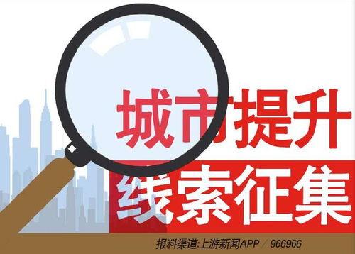 新闻爆料给哪里打电话了,新闻爆料追踪，电话追踪背后的真相