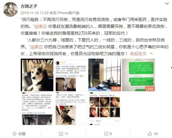 袁立偷狗的爆料视频,真相揭露与舆论风波