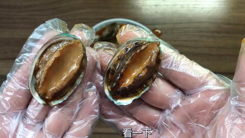 鲍鱼最新爆料图片,神秘图片揭示惊人内幕 第3张 鲍鱼最新爆料图片,神秘图片揭示惊人内幕 第3张