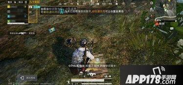 和平精英爆料新闻,全新内容即将上线，战火升级再掀热潮  第3张