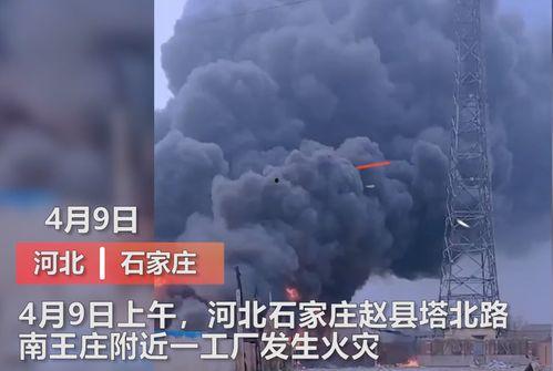 东莞媒体爆料视频曝光,视频揭露惊人真相