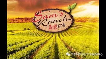 今天牧场在线观看,云端牧歌,尽享田园风光 第3张 今天牧场在线观看,云端牧歌,尽享田园风光 第3张