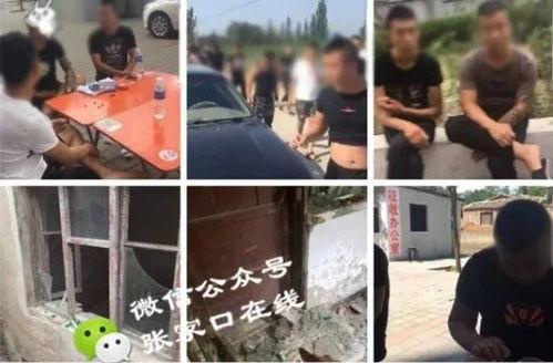 岑前村拆迁爆料事件视频,揭秘事件背后真相