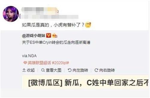 为啥有圈内大佬爆料小虎,小虎背后的惊人真相 第2张 为啥有圈内大佬爆料小虎,小虎背后的惊人真相 第2张