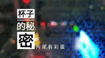 无锡饭店爆料视频播放,揭秘酒店内部惊人真相