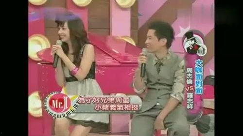 小猪节目爆料视频大全,揭秘娱乐圈幕后真相