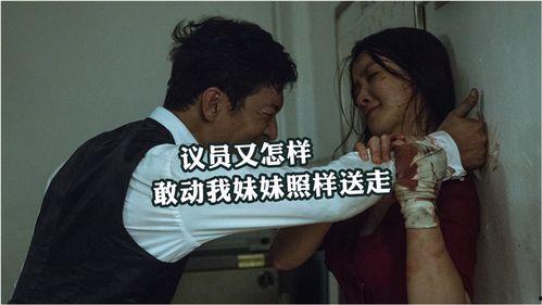 《禽兽》在线观看,揭秘人性黑暗面的惊悚悬疑之旅