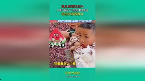 快乐吃瓜宝贝在线观看免费,在线观看无拘无束