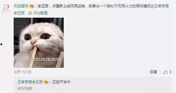 策划八哥爆料视频,视频内容深度解析  第2张