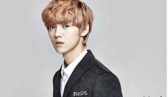 爆料鹿晗婚礼事件视频,独家视频曝光惊人细节  第2张