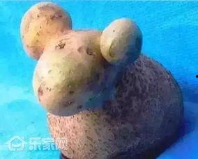 小羊最新爆料出轨是哪一集,出轨真相揭露，哪一集成为舆论焦点？