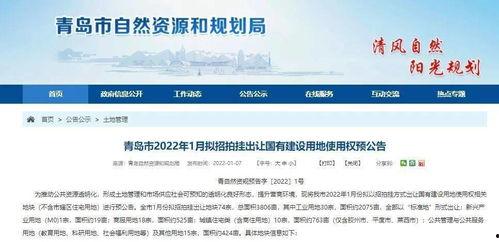 胶州最新爆料新闻报道内容,聚焦热点事件，揭秘背后真相