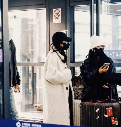 张小寒爆料造谣视频大全,揭秘造谣视频背后的真相