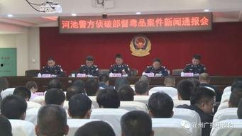 宜州新闻爆料网,聚焦本土热点，解码宜州发展新篇章  第2张