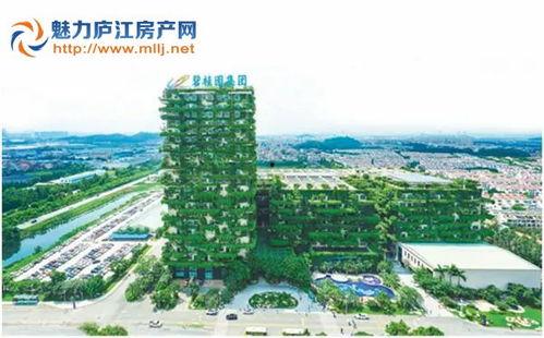 庐江碧桂园爆料视频,揭秘项目真实情况与争议焦点