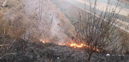 狮子山爆料视频最新消息,最新视频揭露惊人内幕