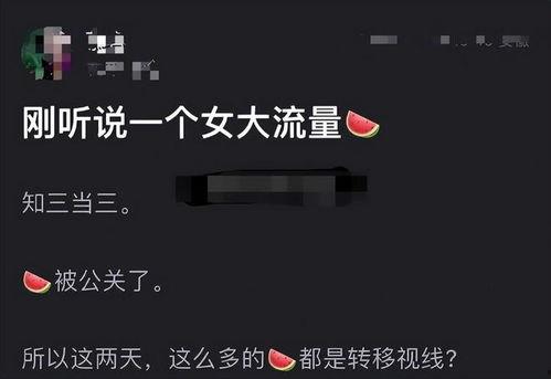 娱记 爆料吃瓜视频大全,娱记爆料吃瓜视频大盘点  第3张