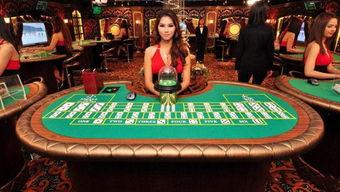 柬埔寨赌场爆料视频大全,爆料视频大全深度解析  第3张