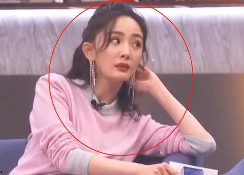 娱乐吃瓜晨晨,娱乐圈新鲜事大揭秘  第3张