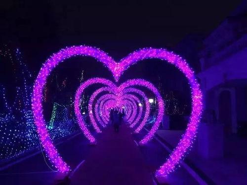 缤纷油彩大转盘爆料视频,揭秘幕后制作过程与精彩瞬间  第2张