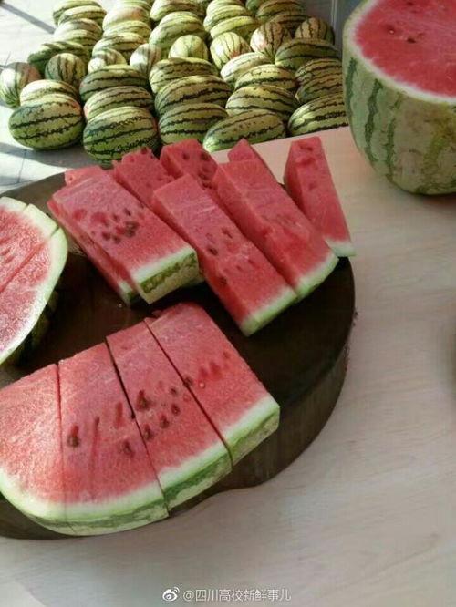 学学网红们怎么吃瓜