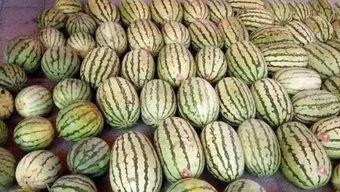 学学网红们怎么吃瓜  第2张