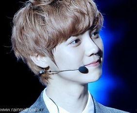 鹿晗韩国爆料视频大全最新,独家幕后花絮大公开  第3张