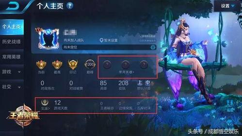 在哪开王者最新爆料台服,揭秘王者荣耀新版本神秘内容  第3张