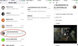 小程序最新爆料网站,功能升级、玩法革新，带你领略科技魅力  第3张