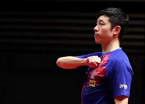 许昕热点爆料视频最新版,赛场幕后故事与心路历程  第2张