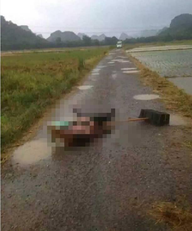 桂林爆料最新视频,揭秘神秘景点背后的故事  第2张